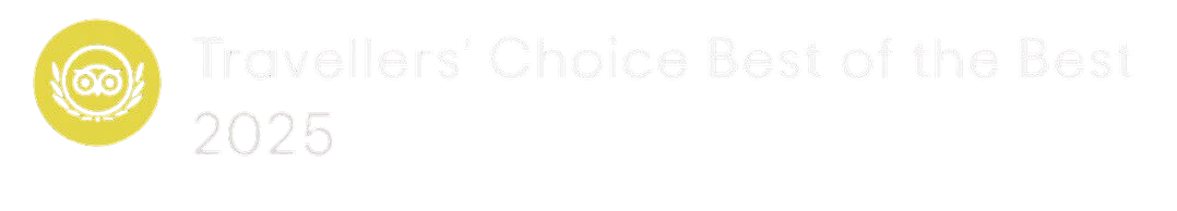 mexican restaurant review google